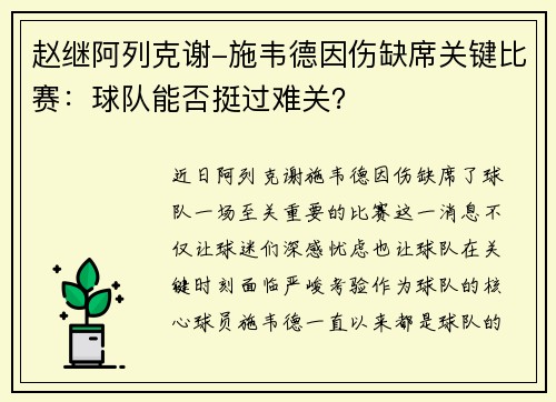赵继阿列克谢-施韦德因伤缺席关键比赛：球队能否挺过难关？
